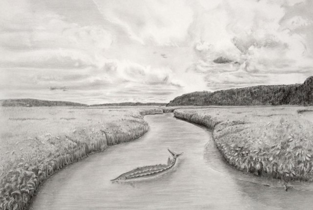 View of Marshes in Piermont, NY - Sturgeon in foreground