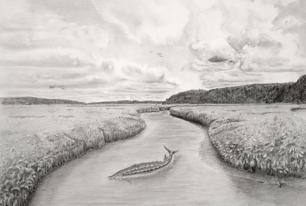 View of Marshes in Piermont, NY - Sturgeon in foreground