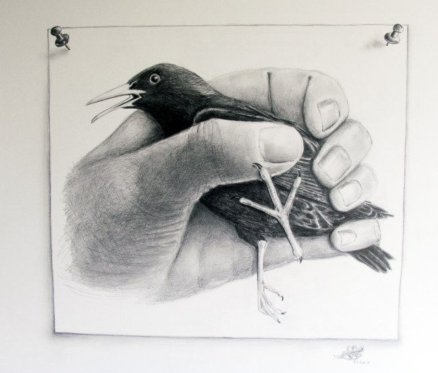 A startling in the firm grip of a man's hand 