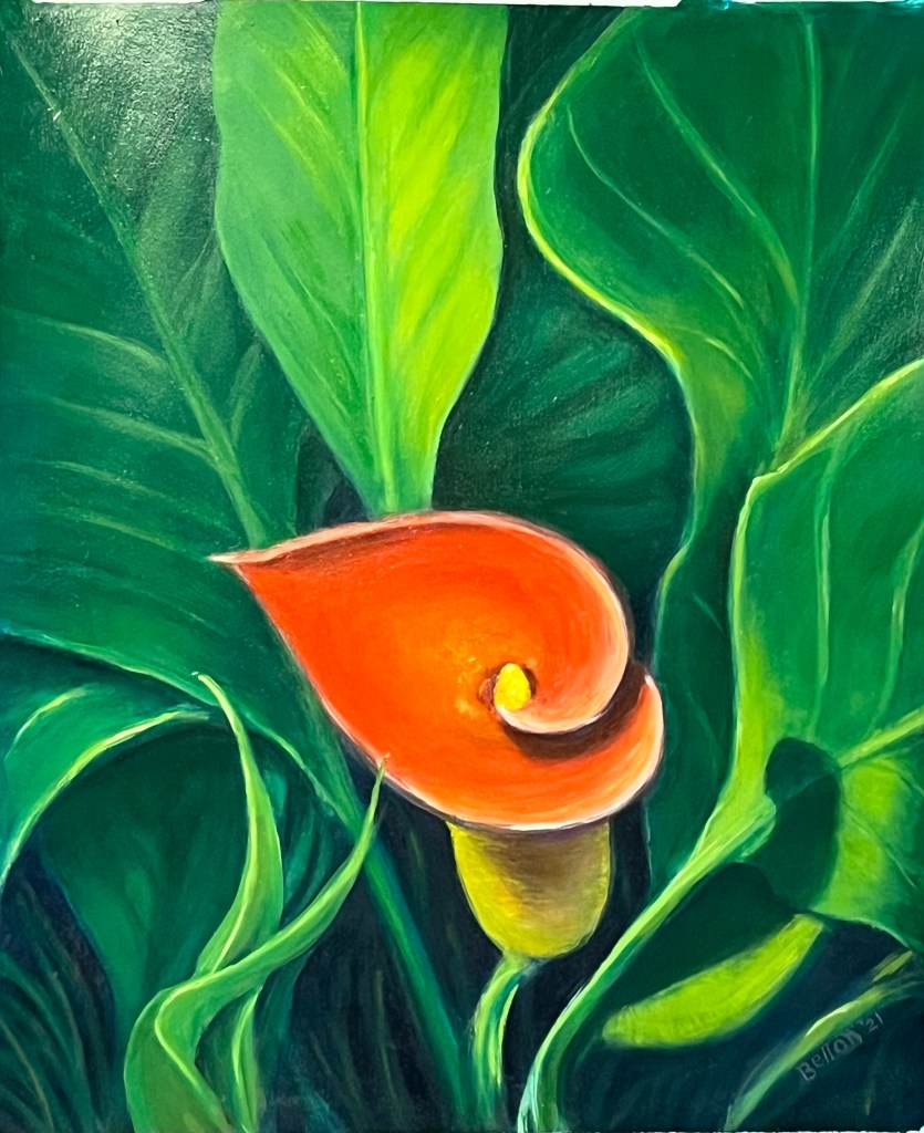 A red Calla Lilly in the center of the image of leaves and greens